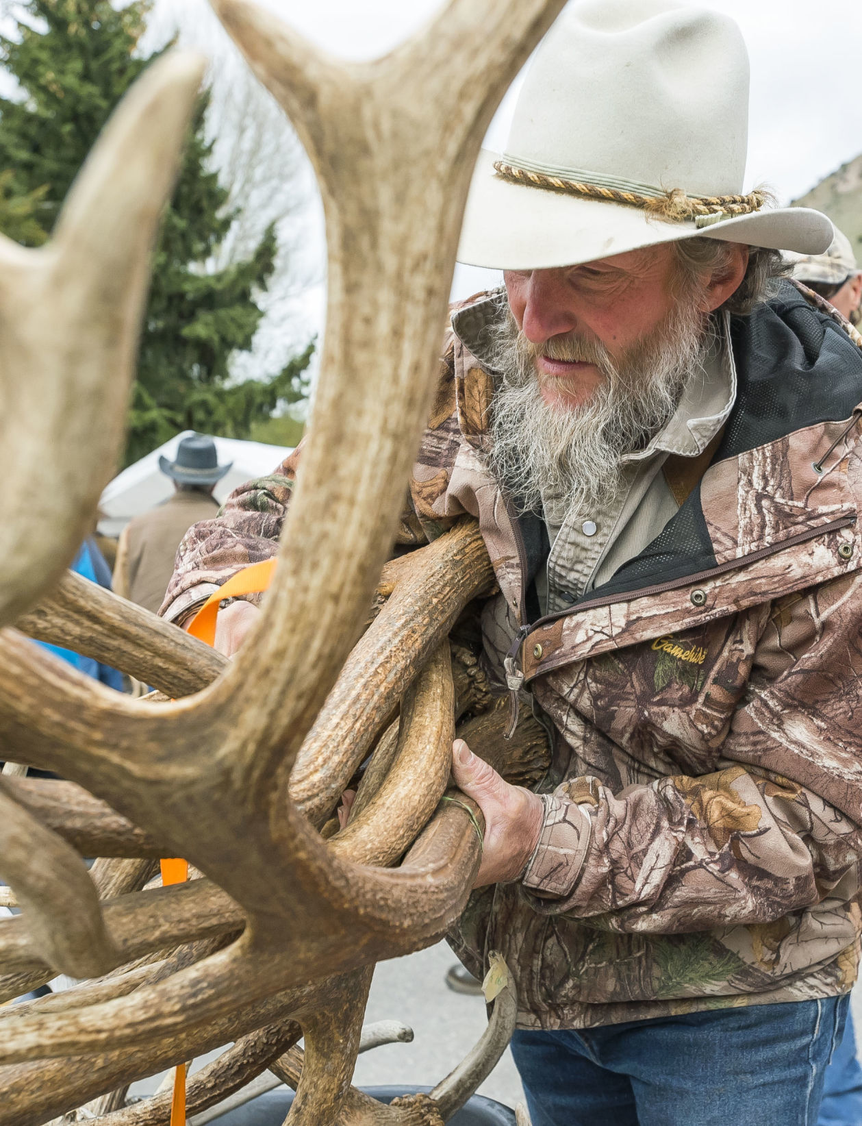 ElkFest
